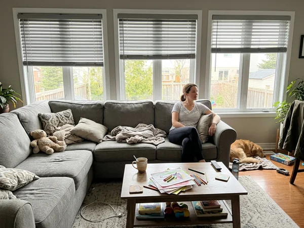 Grey faux wood blinds on main-floor windows in a Kanata North family room